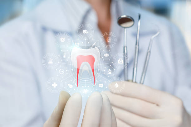 Trusted Camano, WA Holistic Dental Care Services Experts